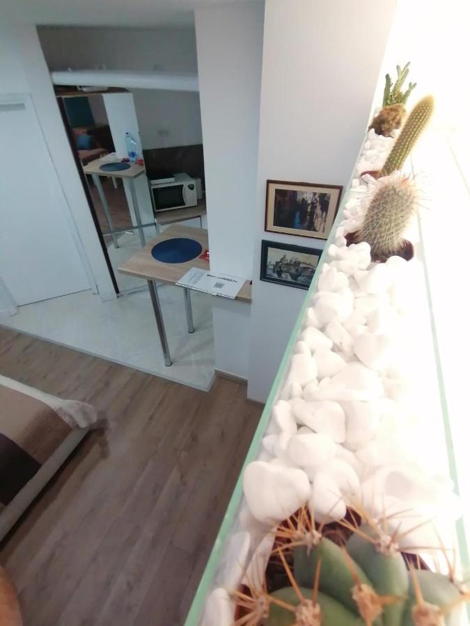 Apartman Dunja S Белград Екстериор снимка